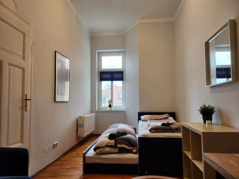 4 Raum Wohnung Mit Balkon Auf 120Sqm In Top Lage Dresda Exterior foto